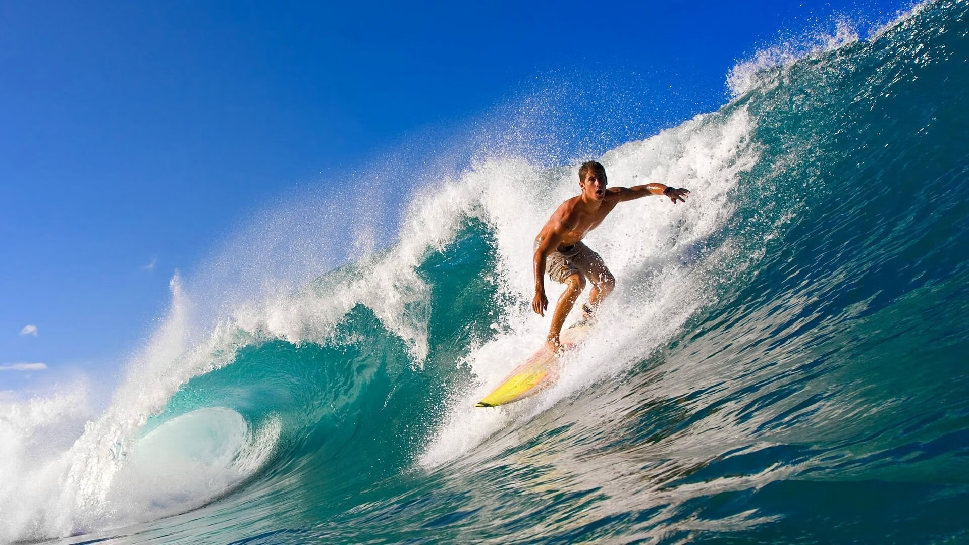 “定向越野：东部新区赛场，挑战体能与导航的极限”